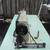 BROTHER DB2-B737-413 MARK II EXEDRA E-40 INDUSTRIAL SEWING MACHINE 7 thumbnail