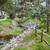 Unmatched 1 Bedroom/1.5 Ba | Beautiful Creek Flows Thru Our Community 11 thumbnail