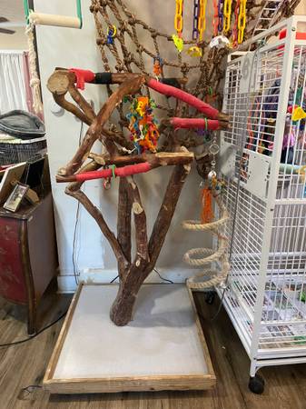 Bird cages/Trees (Lorain ohio)63686622718593123