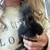 Silkies 2 thumbnail