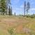 0.34 Acre Lot Paradise Lot, Adjacent to Honey Run Creek 3 thumbnail