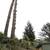 Everything under the sun Native Roots Tree Service will get it done 18 thumbnail