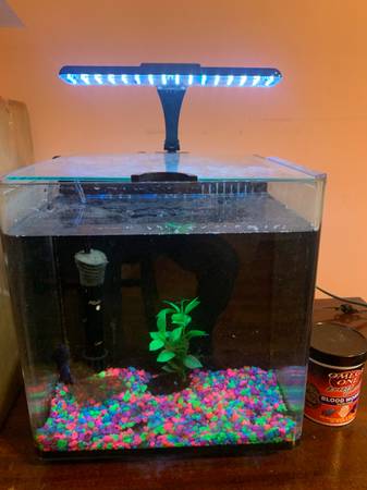 Fish tank (Brooklyn)63930930297603120