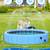 EPN Large Foldable Dog Pool, Bathtub & Sprinkler for Dogs, Cats, Kids 3 thumbnail
