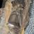 2006-2010 Honda Civic Hybrid Cat Converter 3 thumbnail