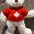 Gund White Canadian Teddy Bear "Schatzi 15023" 1 thumbnail
