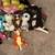 Big Lot of 19 Ty Beanie Babies 5 thumbnail