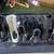 Boat Stuff - Rod holders, Propellers 2 thumbnail