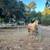 Ojai Creative Studio / Artist Atelier – Private Workspace for RENT 18 thumbnail