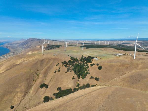 $387,000 92 Vacant Acres - Utilities on Site - Passive Income Potential63831396188929121