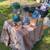Yard Sale w Estate Items - Books Video Games Furniture Clothing 10 thumbnail