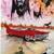 Joey Feldman “The Great Red Shark” (Signed and Numbered) 4 thumbnail