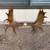 Moose antlers 1 thumbnail