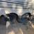 Jayco 44 ft fifth wheel trailer empty no papers 3 thumbnail