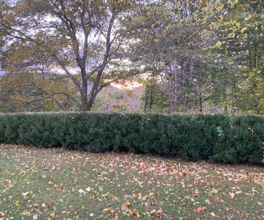 $850 / 1br - 550ft2 - Apartment in Fairview (Fairview)64029374344706121