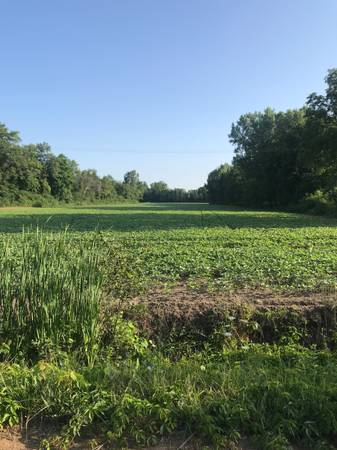 $4,500 / 4br - 2000ft2 - 17 acre Farm house available with land! (Belleville)63926727806978121