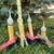 CHRISTMAS HOLIDAY Electric Night Lights Lamps Set of 4 NEW 3 thumbnail