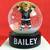 LA Kings Christmas Snow Globe 👑🏒❄️ Bailey Puck Stand NHL Hockey 1 thumbnail