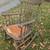 Victorian Oak Rocking Rocker 1 thumbnail