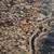 Awesome Ariel shot of Surfing Point! 2 thumbnail