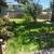4 bed 3 bath house Giant yard Students or family no app fees or credit 6 thumbnail