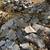 7 bluestone treads +  1 pallet of Fieldstone 2 thumbnail