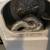 GE Hotpoint matching washer and gas dryer 2 thumbnail