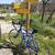 GIOS Pure Gravel Bike 1 thumbnail