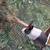 Rabbits 1 thumbnail