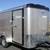 14ft Interstate Victory Enclosed Cargo Trailer Tandem Axle ramp door 3 thumbnail