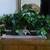 Floral Arrangements Mirrors & Other Art Work 7 thumbnail