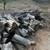 FIREWOOD 3 thumbnail