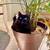 Missing Cat 2 thumbnail