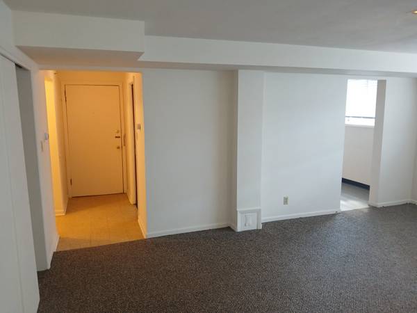 $950 / 1br - Large Efficiency Apartment (Syracuse, NY)63982840670339121