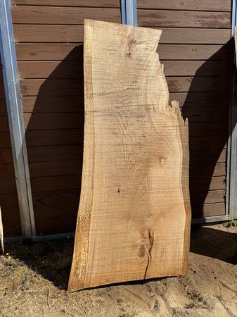 Black Oak Slabs for Sale – 3.5" Thick - $20 (sebastopol) - $20 (sebastopol)63471436867203124