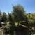 EXCLUSIVE LISTING | Rare Authentic Arab-Style Home for Sale 6 thumbnail