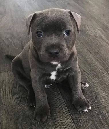 Looking for A Loving Family 1