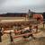 Got Logs? Need Lumber? 1 thumbnail