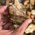 Boley Agates, Jaspers & Conglomerate's 3 thumbnail