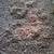 Compost worms 2 thumbnail