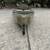 Kayak, Native Watercraft Manta Ray, 12ft 15 thumbnail