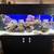 Saltwater/Freshwater Aquarium Repair Service! 4 thumbnail