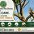 🌲Top Climber Tree Service - 🌲Affordable Tree Care -🌲 Call Today 1 thumbnail
