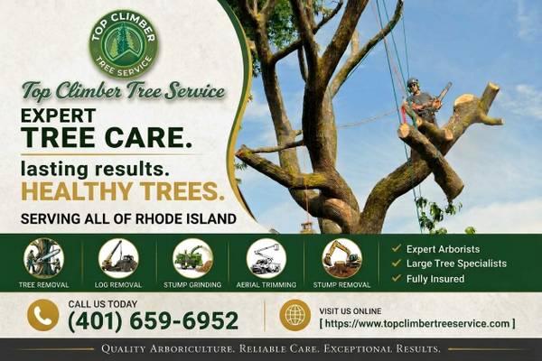 🌲Top Climber Tree Service - 🌲Affordable Tree Care -🌲 Call Today 1