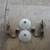 PAIR OF OLD WALL LIGHT FIXTURES 2 thumbnail