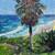 Oil Painting for Sale $50 8 thumbnail