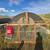 Chicken Tractors 3 thumbnail