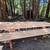 Custom Redwood lumber orders, beams, Shiplap, and More! 10 thumbnail