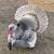 Turkeys 2 thumbnail