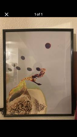 Abstract photo print in a frame good quality print 1